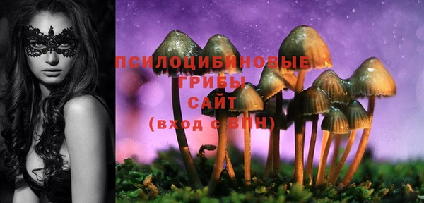 гидропоника Алзамай