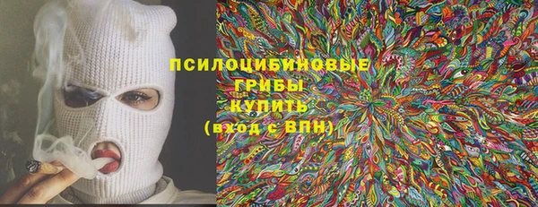 гидропоника Алзамай