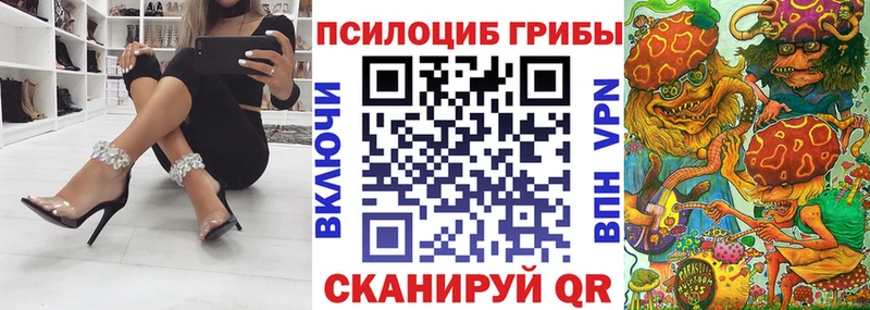 Галлюциногенные грибы Cubensis  где можно купить   blacksprut онион  Пласт 